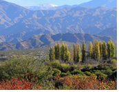 Famatina :: Dolina Famatina z wysokimi szczytami Sierras de Famatina dochodzacymi do 6200m