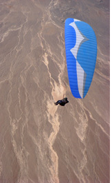 Littoral of Chipana - Paragliding above desert plains of Littoral of Chipana, Iquique, Atacama Desert, Chile - Pilot: Bruce Burris, USA - Fly Atacama 2008 participant